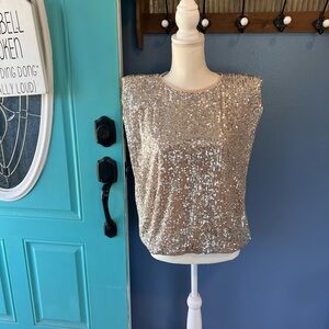 Maurices Silver Sequin Blouse